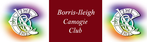 Borris-Ileigh Camogie Club Collage 600