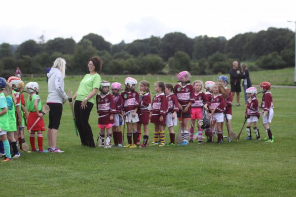 Camogie (1)