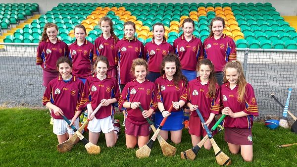 1st and 2nd yr Camogie Team 2016/17