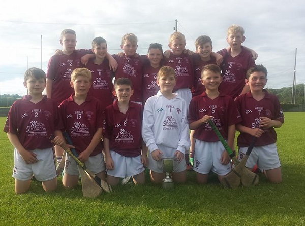 The North Final U12A winning team! Back row: L-R: Luke Preston, Patrick Brett, Sean Young, Eamon Groome, Tom Delaney, Eoin Boyle & Paddy McCormack. Front Row: L-R: Lar Stapleton, Ben O' Donnell, Darragh Chute, Archie Devaney, Cian Murphy & Razuk Atik. Mentors: Mark Stapleton, Jody Boyle, Trevor Groome, Jimmy Chute, Jamie Groome, JJ Maher First Aider: Cory Ryan