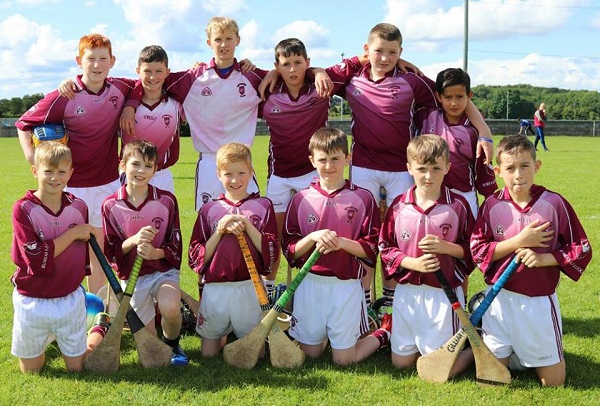 Hard luck to this great bunch of lads who were narrowly beaten by 1 point in the North Tipp Final on Saturday 5th August. These lads showed a lot of grit and determination and the Borris-ileigh Juvenile Gaa are very proud of them all. Back Row: L-R: Eoin O' Hagan, Will Cooney, Harry Groome, Lochlainn Hodgins, Sam Patton, Evan Ryan. Front Row: L-R: Patrick Ryan, Pierce Ivors, Aaron Young, Conor Murray, Donncha Ryan, Cillian O' Brien.
