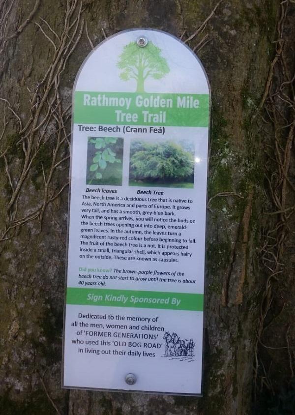rathmoy golden mile tree trail