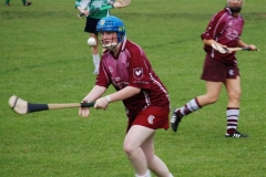 2008_0628Camogieclub0003 (Medium)