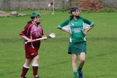 2008_0628Camogieclub0005 (Medium)