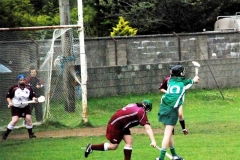 2008_0628Camogieclub0013 (Medium)