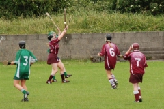 2008_0628Camogieclub0020 (Medium)