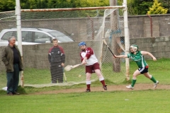 2008_0628Camogieclub0025 (Medium)