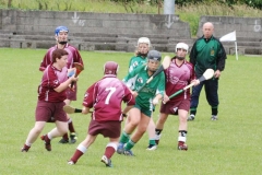 2008_0628Camogieclub0053 (Medium)