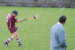 2008_0628Camogieclub0065 (Medium)