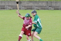 2008_0628Camogieclub0069 (Medium)