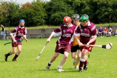 2008_0727Website10283 (Medium)