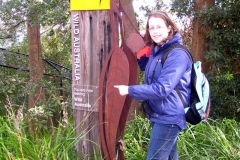 Gemma 3c (Medium)