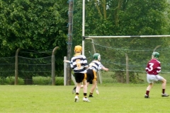 Home camera Mini-Sevens 051 (Medium)