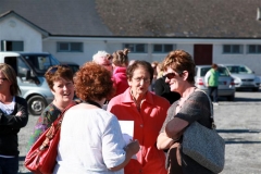 IMG_4452 (Medium)