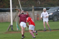 hurlinggallery10