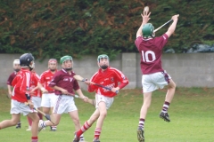 hurlinggallery7