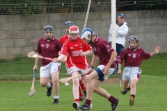 hurlinggallery9