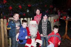 xmas lights 2013 Medium (35)