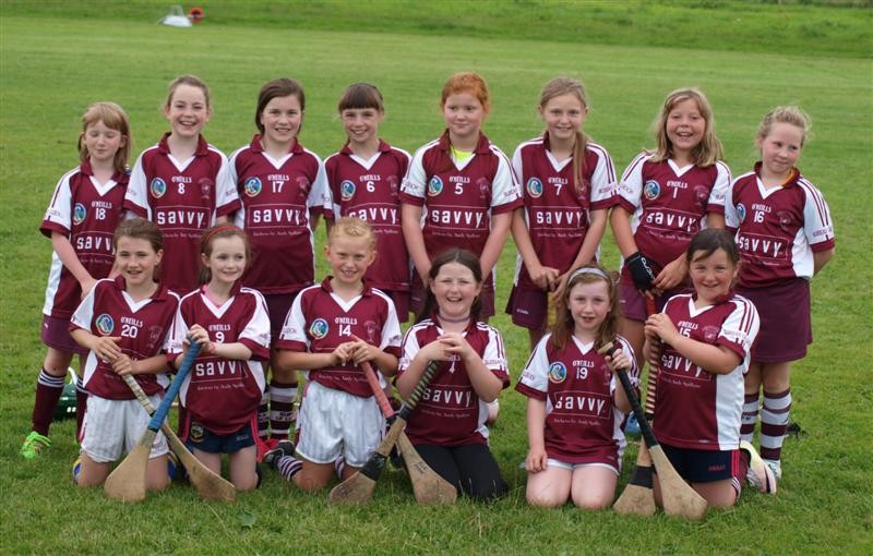 Borris-Ileigh Camogie Blitz 2016 Gallery 1