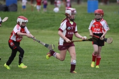 Camogie Blitz (36) (Medium)