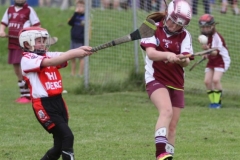 Camogie Blitz (37) (Medium)