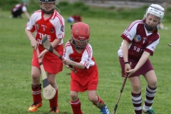 Camogie Blitz (38) (Medium)