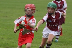 Camogie Blitz (39) (Medium)