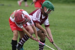 Camogie Blitz (40) (Medium)