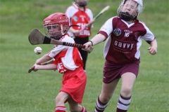 Camogie Blitz (41) (Medium)