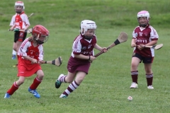 Camogie Blitz (42) (Medium)