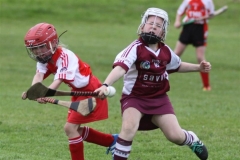 Camogie Blitz (43) (Medium)