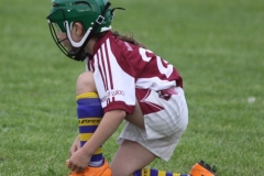 Camogie Blitz (44) (Medium)