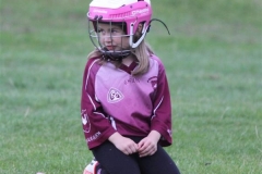 Camogie Blitz (45) (Medium)