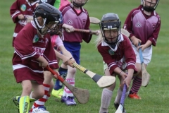 Camogie Blitz (46) (Medium)