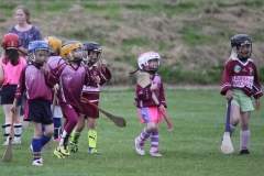 Camogie Blitz (47) (Medium)