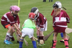 Camogie Blitz (48) (Medium)