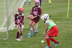 Camogie Blitz (49) (Medium)