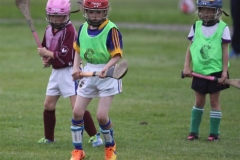 Camogie Blitz (50) (Medium)