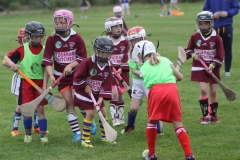 Camogie Blitz (51) (Medium)