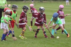 Camogie Blitz (52) (Medium)