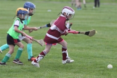 Camogie Blitz (53) (Medium)