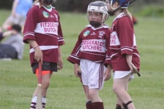 Camogie Blitz (54) (Medium)