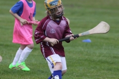 Camogie Blitz (55) (Medium)