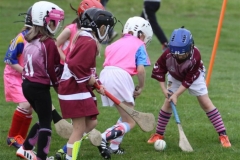 Camogie Blitz (56) (Medium)