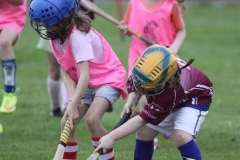 Camogie Blitz (57) (Medium)