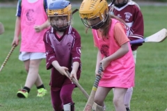 Camogie Blitz (58) (Medium)