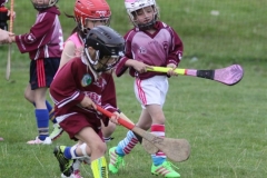 Camogie Blitz (60) (Medium)