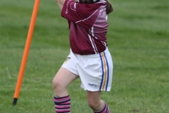 Camogie Blitz (61) (Medium)