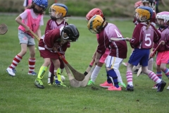 Camogie Blitz (62) (Medium)