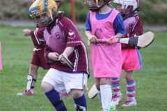 Camogie Blitz (63) (Medium)